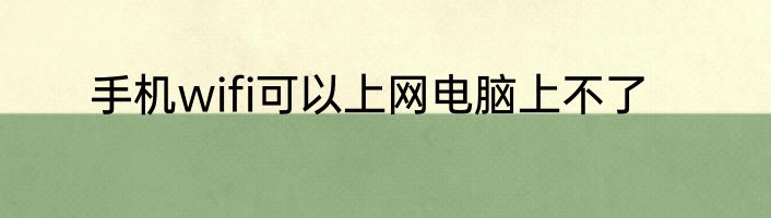 手机wifi可以上网电脑上不了