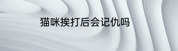 猫咪挨打后会记仇吗