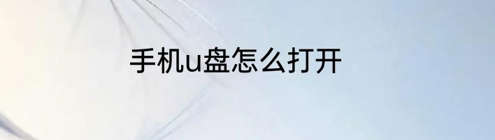 手机u盘怎么打开