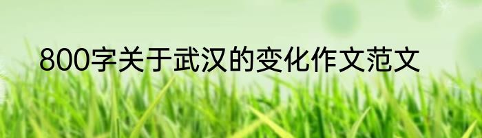 800字关于武汉的变化作文范文