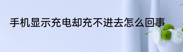 手机显示充电却充不进去怎么回事
