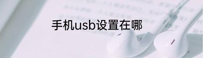 手机usb设置在哪