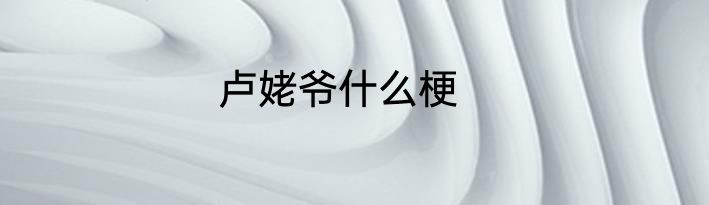 卢姥爷什么梗