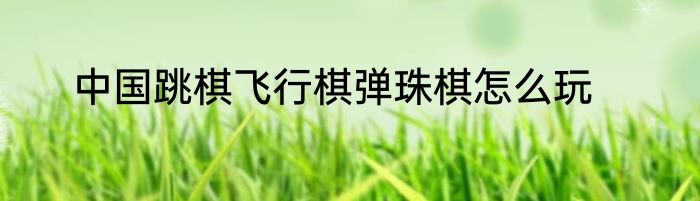 中国跳棋飞行棋弹珠棋怎么玩