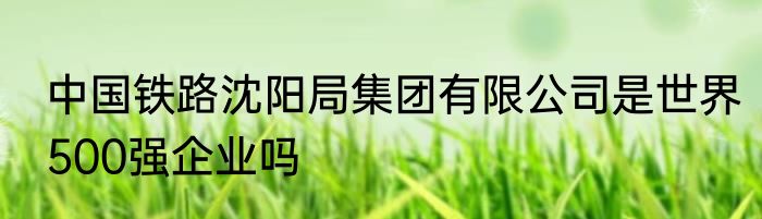 中国铁路沈阳局集团有限公司是世界500强企业吗