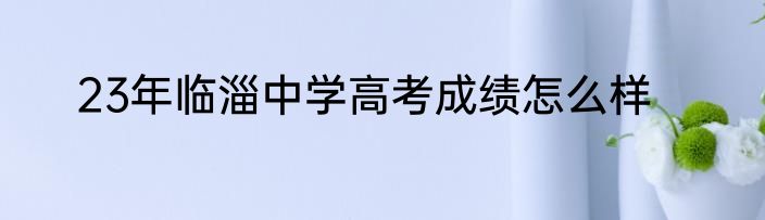 23年临淄中学高考成绩怎么样