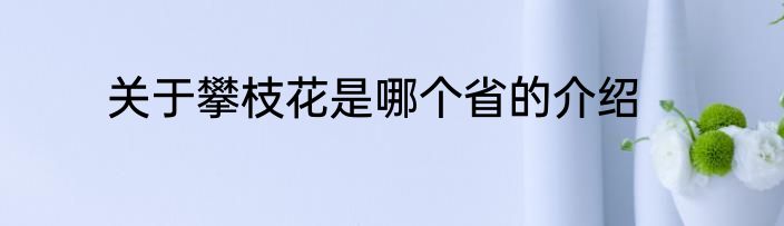 关于攀枝花是哪个省的介绍