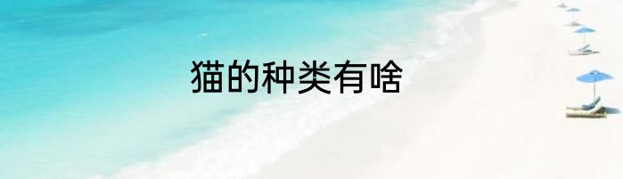 猫的种类有啥