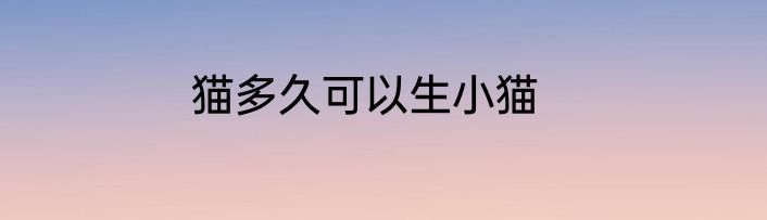 猫多久可以生小猫