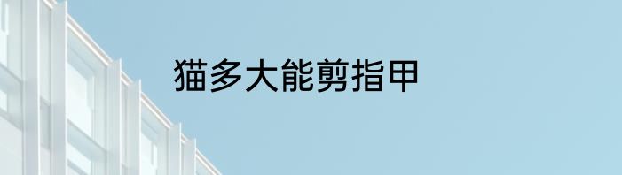 猫多大能剪指甲