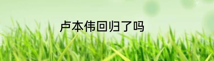 卢本伟回归了吗