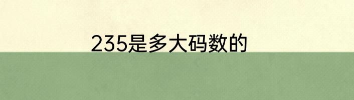 235是多大码数的