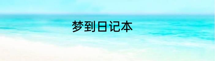 梦到日记本