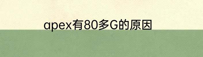 apex有80多G的原因