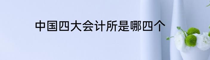 中国四大会计所是哪四个