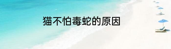 猫不怕毒蛇的原因