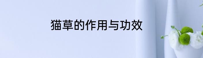 猫草的作用与功效