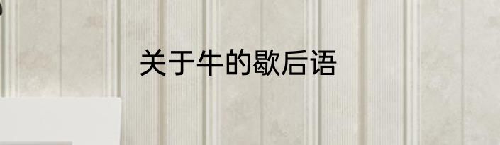 关于牛的歇后语