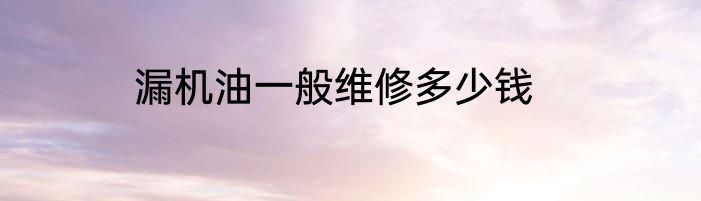 漏机油一般维修多少钱