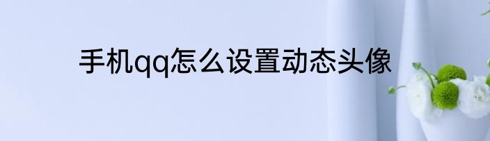 手机qq怎么设置动态头像