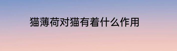 猫薄荷对猫有着什么作用