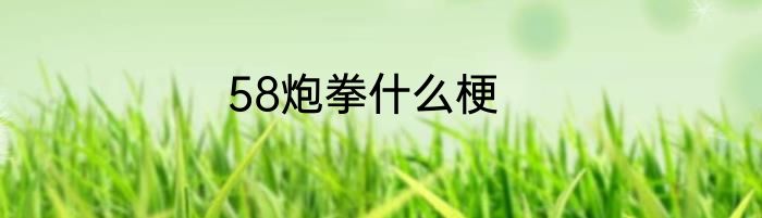58炮拳什么梗