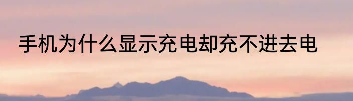 手机为什么显示充电却充不进去电