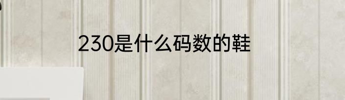 230是什么码数的鞋