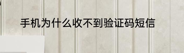 手机为什么收不到验证码短信