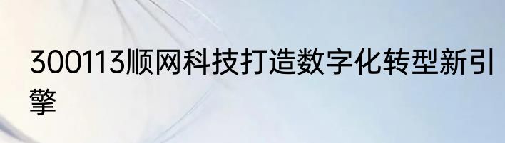 300113顺网科技打造数字化转型新引擎