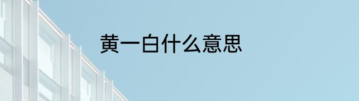 黄一白什么意思