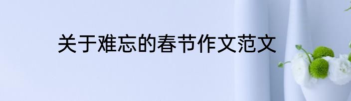 关于难忘的春节作文范文
