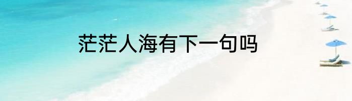 茫茫人海有下一句吗