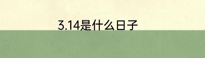 3.14是什么日子