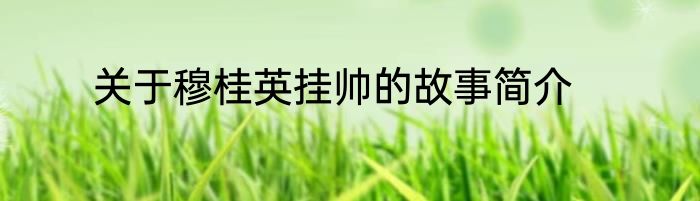 关于穆桂英挂帅的故事简介