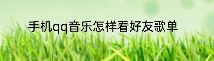 手机qq音乐怎样看好友歌单