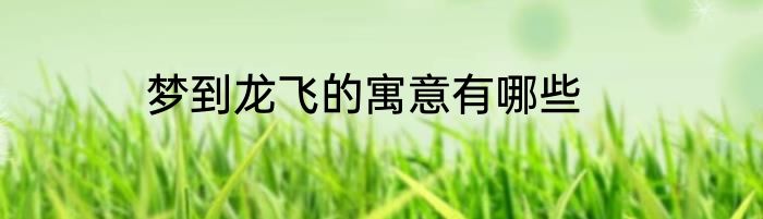 梦到龙飞的寓意有哪些