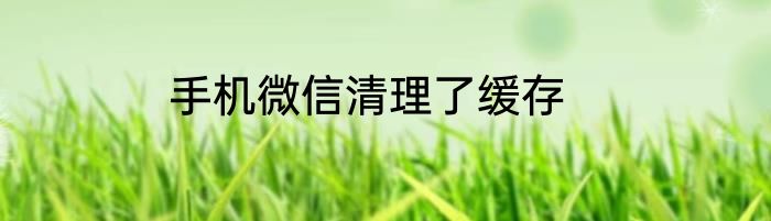 手机微信清理了缓存