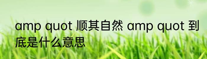 amp quot 顺其自然 amp quot 到底是什么意思