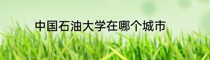 中国石油大学在哪个城市