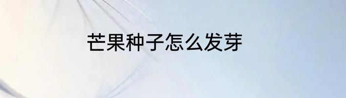 芒果种子怎么发芽