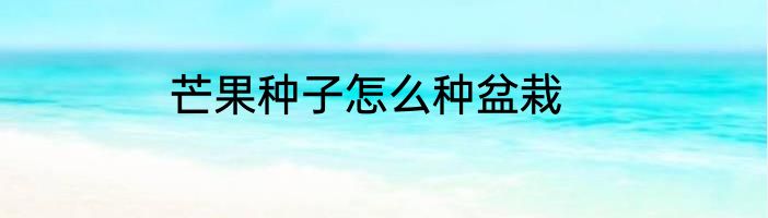 芒果种子怎么种盆栽