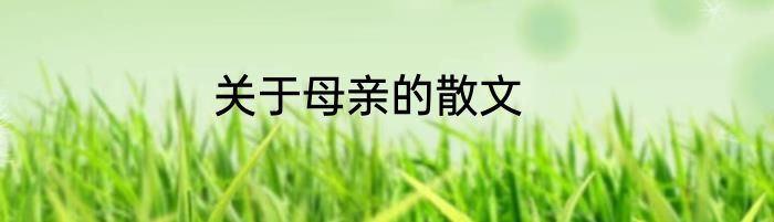 关于母亲的散文