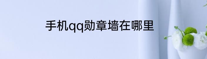 手机qq勋章墙在哪里