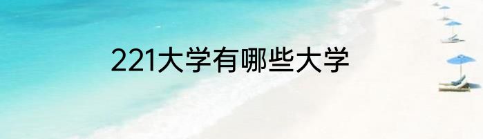 221大学有哪些大学