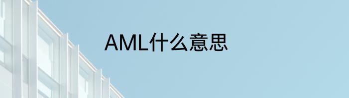 AML什么意思