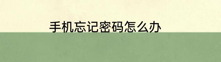 手机忘记密码怎么办