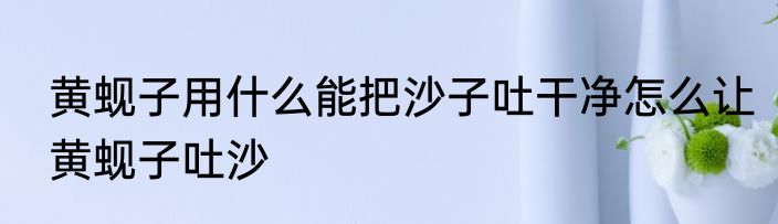 黄蚬子用什么能把沙子吐干净怎么让黄蚬子吐沙