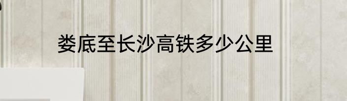 娄底至长沙高铁多少公里