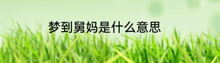 梦到舅妈是什么意思